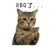 858560547
