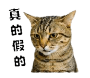 858560550