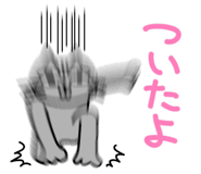 858561834