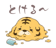 858562372