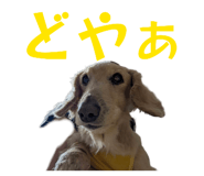 858562581