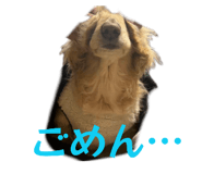858562587