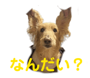 858562588
