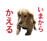 858562589