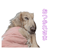 858562600