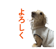 858562604