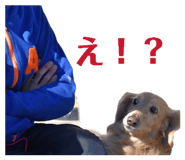 858562608