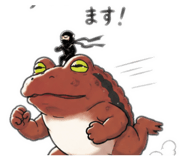 858562677