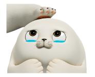 858563444