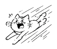 858563796