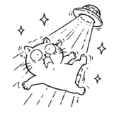 858563827