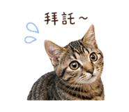 858564402