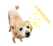 858564664