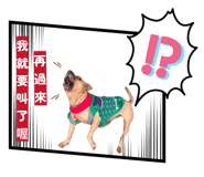 858564668