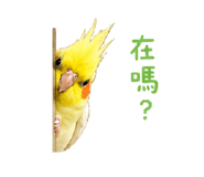 858564817