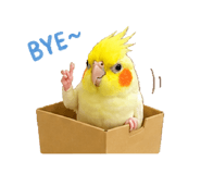 858564820