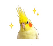 858564830