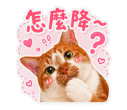 858565373