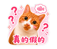 858565381