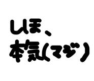 858566231