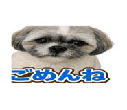 858566441