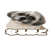 858566442
