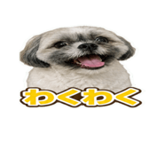858566444