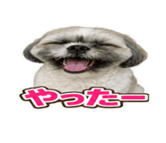 858566446