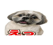 858566447