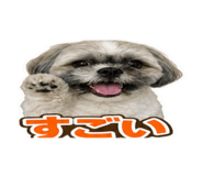 858566448
