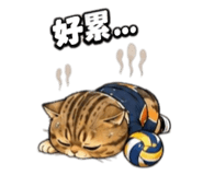 858566493