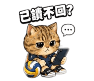 858566516