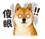 858566633