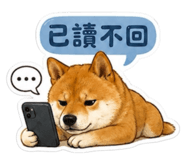 858566634