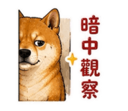858566645