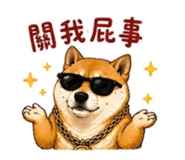 858566646
