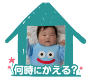 858566955