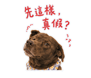 858568435