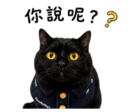 858568474