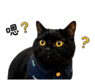 858568484