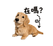 858568531