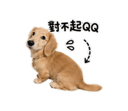 858568539