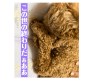 858570619