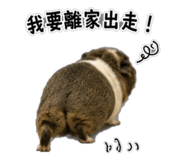 858571448