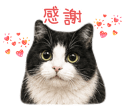 858573658
