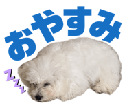 858573996