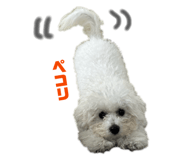 858574003
