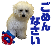 858574006