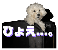 858574029