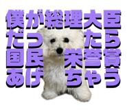 858574030